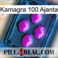 Kamagra 100 Ajanta 04